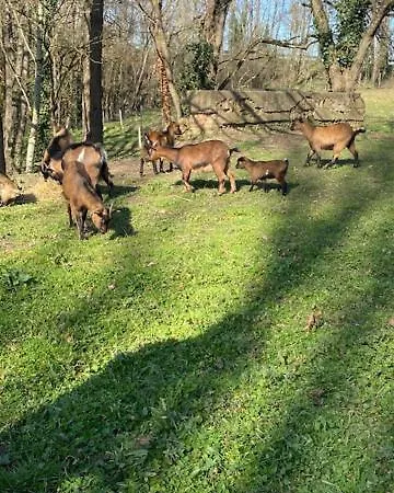 Pensión Au Vieux Pressoir