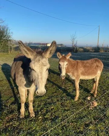 Au Vieux Pressoir Montans