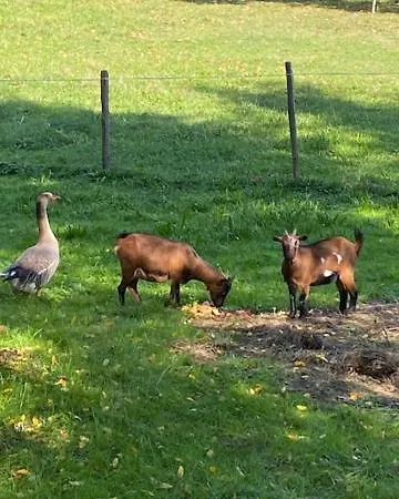 Au Vieux Pressoir Pensión 3*