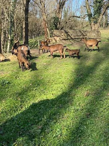 Gasthof Au Vieux Pressoir